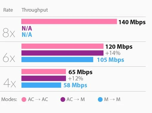 5.webp