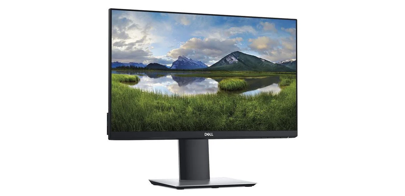 Monitors DELL P2219H MONITOR 21.5