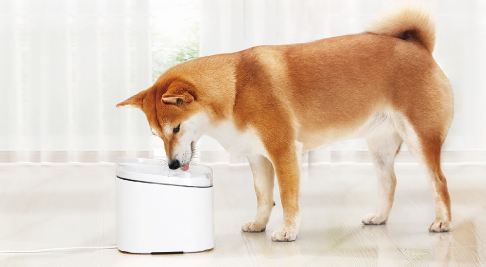 Xiaomi Smart Pet Fountain EU