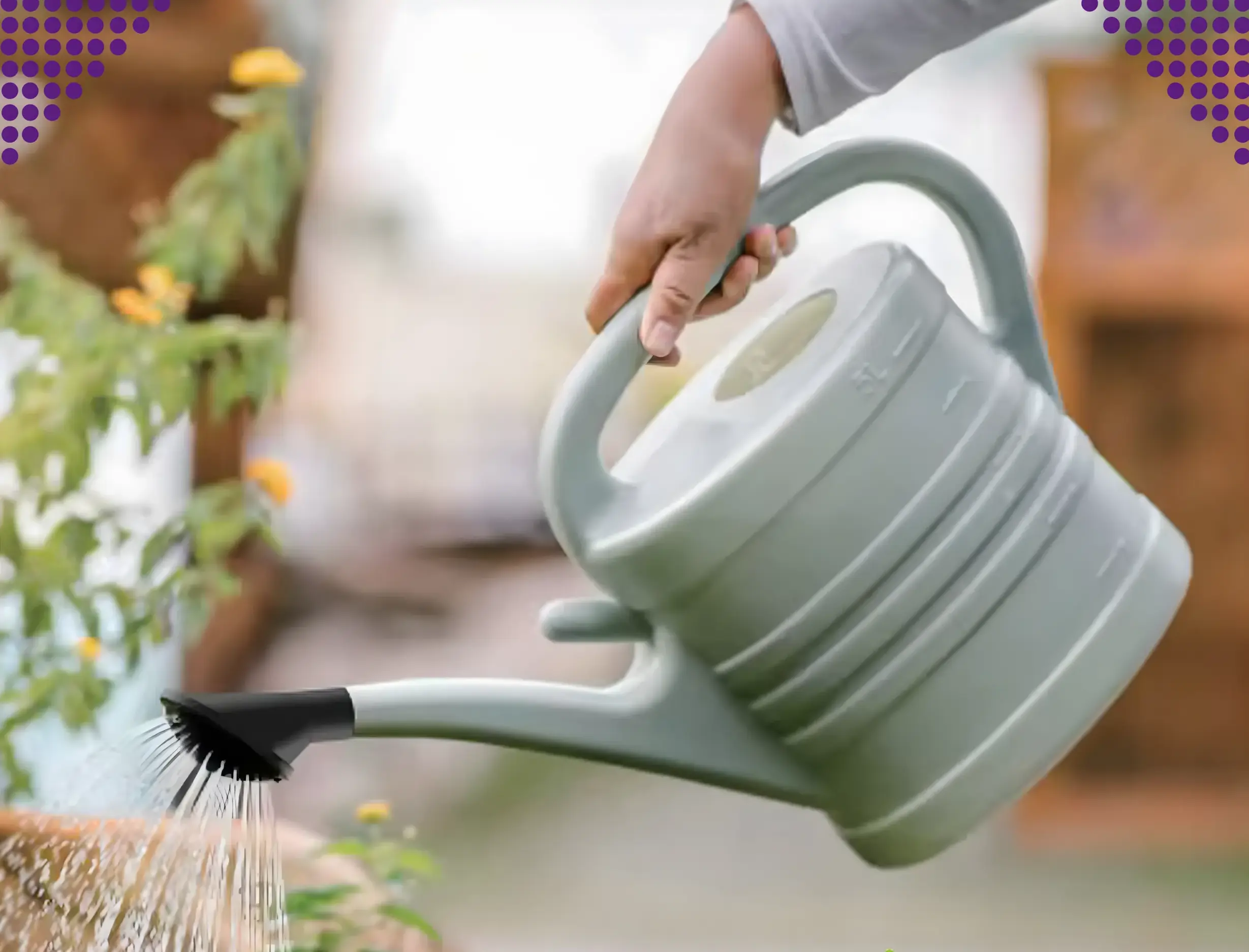 BLACK FOREST GARDEN WATERING CAN 5L OVAL PLASTIC WATERING CAN WITH STRAINER WATERING CAN - 1601